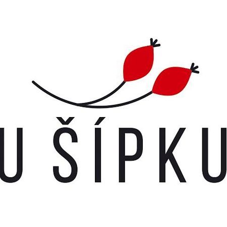 Dum U Sipku Hotel Krasna Lipa Exterior photo