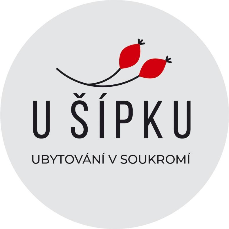 Dum U Sipku Hotel Krasna Lipa Exterior photo
