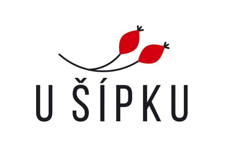 Dum U Sipku Hotel Krasna Lipa Exterior photo
